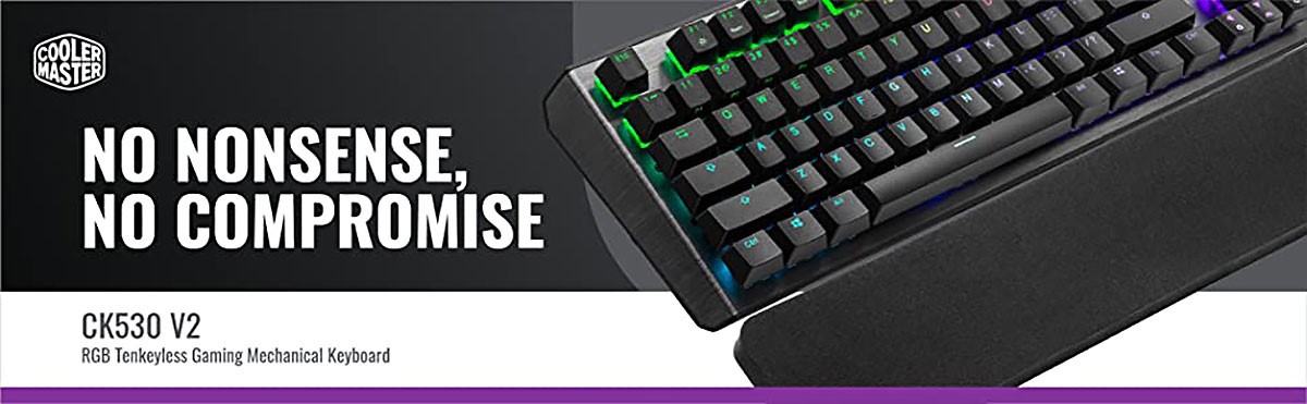 Cooler Master Ck530 V2 Rgb Tkl Mechanical Gaming Keyboard W Red Switches Gaming Keyboards Memory Express Inc