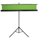 MX00112556 Extra Wide Portable Green Screen