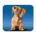 MX00113026 iPod Dog or Cat Mouse Pad