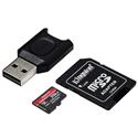 MX00113488 Canvas React Plus Class 10 UHS-II A1 microSDXC Memory Card, 256GB w/ MobileLite Plus microSD Reader, Adapter 