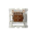 MX00129159 Gateron (Lubed) G Pro Brown Switches w/ 35pcs, Regular