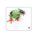 MX13223 Hanadeka Mouse Pad, Tree Frog